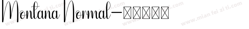 Montana Normal字体转换